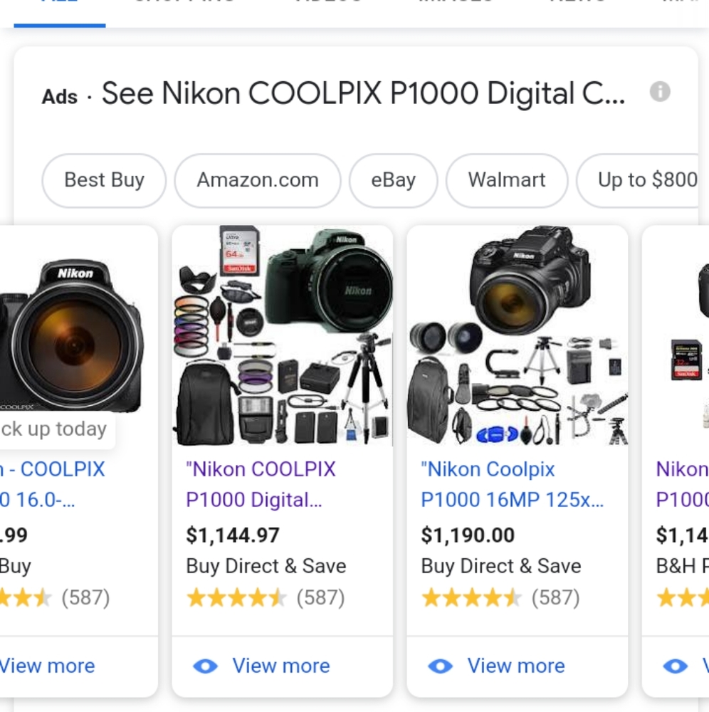 Nikon Coolpix P1000 - Picture 6 of 6